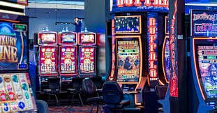 555w Live Casino hero view for Bangladesh adult mobile users