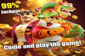 555w Platform Guide connecting sports interest and casino-style browsing